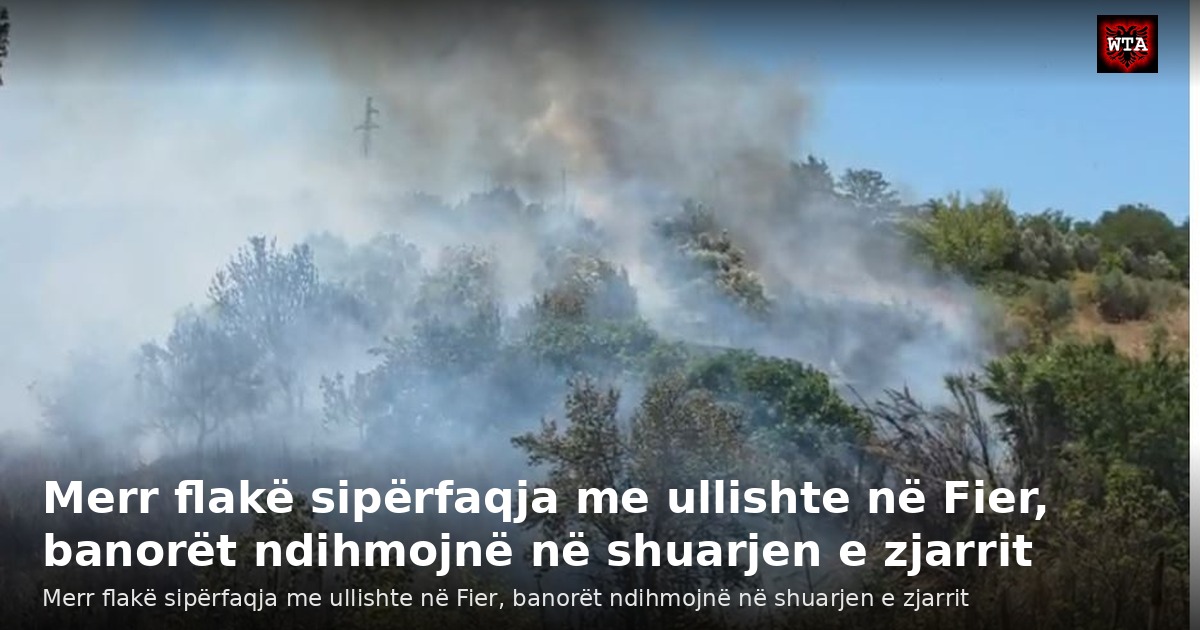 Merr flakë sipërfaqja me ullishte në Fier, banorët ndihmojnë në shuarjen e zjarrit