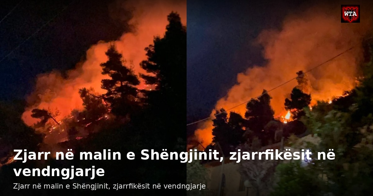 Zjarr në malin e Shëngjinit, zjarrfikësit në vendngjarje