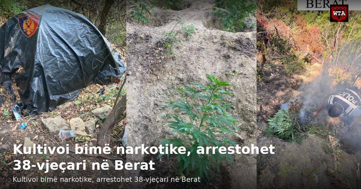 Kultivoi bimë narkotike, arrestohet 38-vjeçari në Berat
