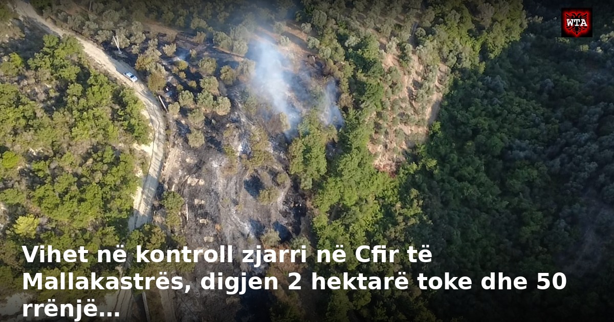 Vihet në kontroll zjarri në Cfir të Mallakastrës, digjen 2 hektarë toke dhe 50 rrënjë…