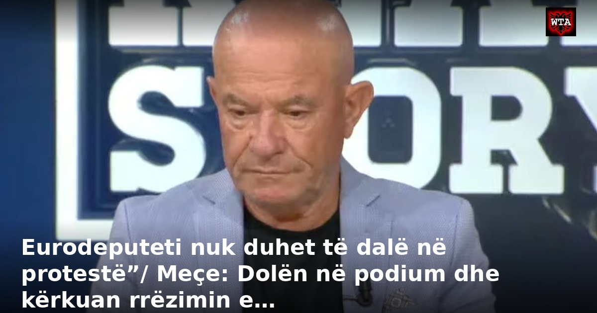 Eurodeputeti nuk duhet të dalë në protestë”/ Meçe: Dolën në podium dhe kërkuan rrëzimin e…