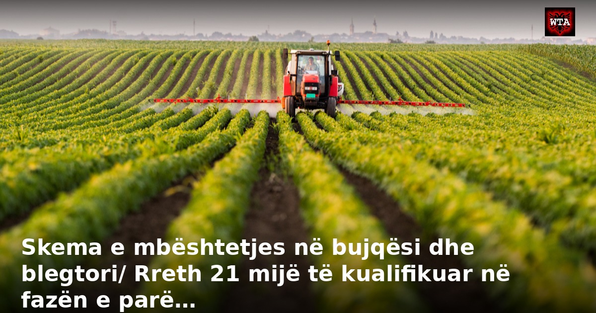 Skema e mbështetjes në bujqësi dhe blegtori/ Rreth 21 mijë të kualifikuar në fazën e parë…