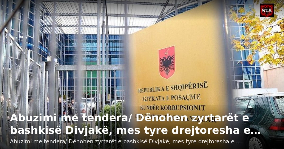 Abuzimi me tendera/ Dënohen zyrtarët e bashkisë Divjakë, mes tyre drejtoresha e…