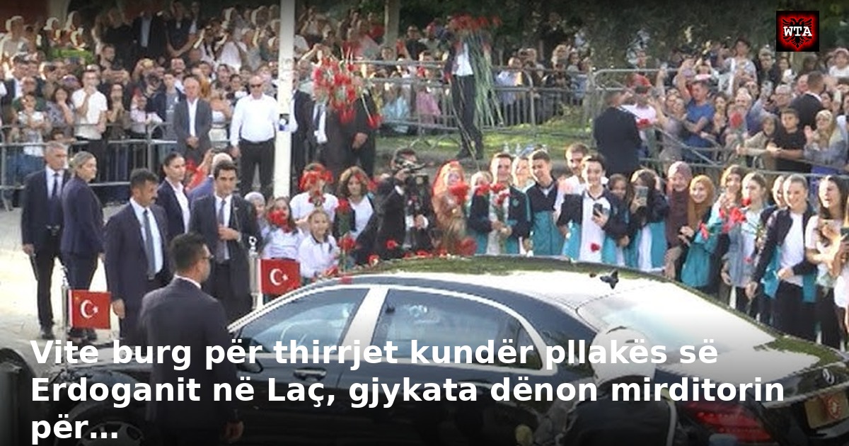 Vite burg për thirrjet kundër pllakës së Erdoganit në Laç, gjykata dënon mirditorin për…