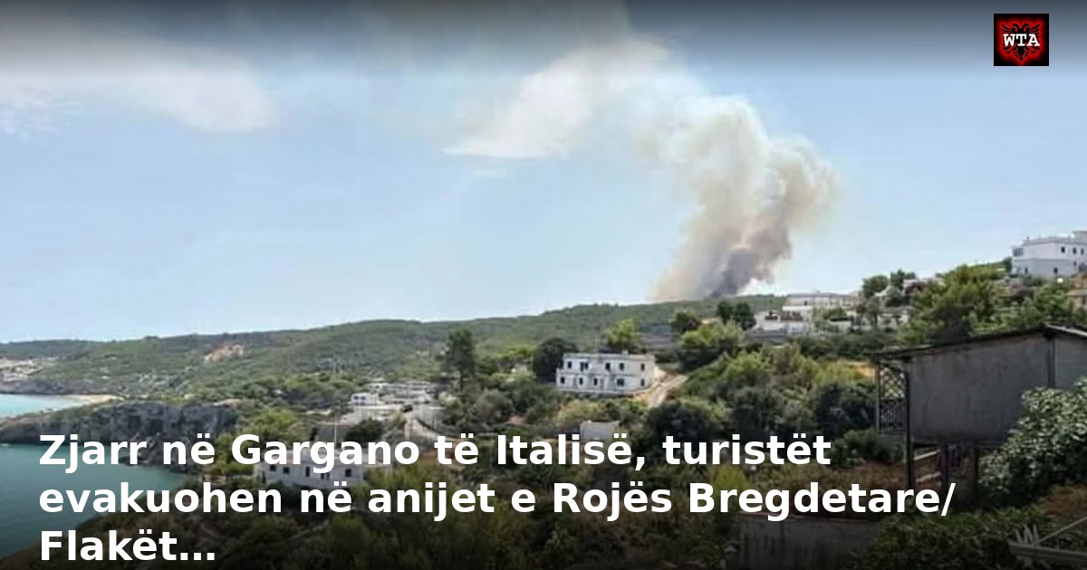 Zjarr në Gargano të Italisë, turistët evakuohen në anijet e Rojës Bregdetare/ Flakët…