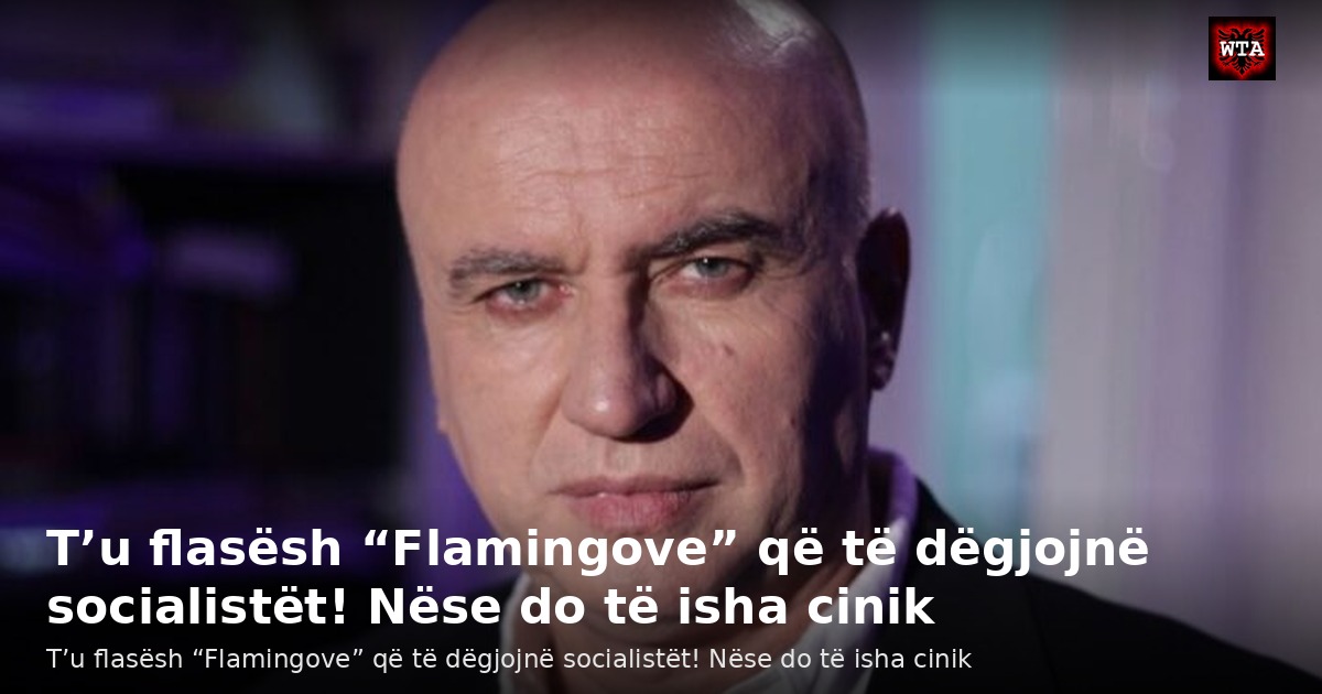 T’u flasësh “Flamingove” që të dëgjojnë socialistët! Nëse do të isha cinik