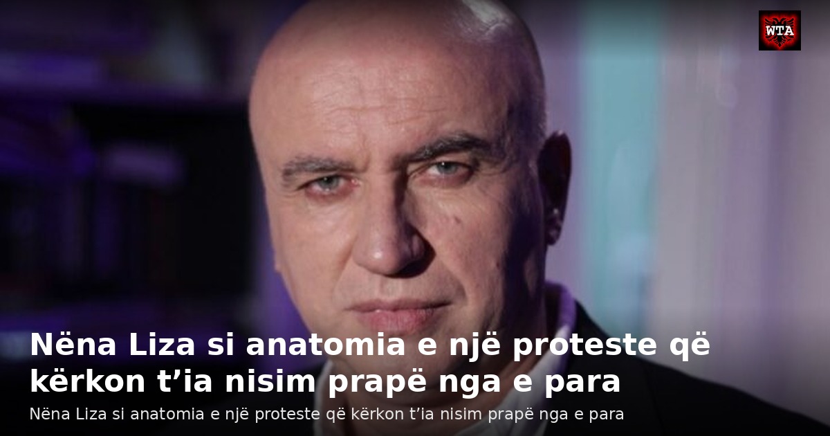 Nëna Liza si anatomia e një proteste që kërkon t’ia nisim prapë nga e para