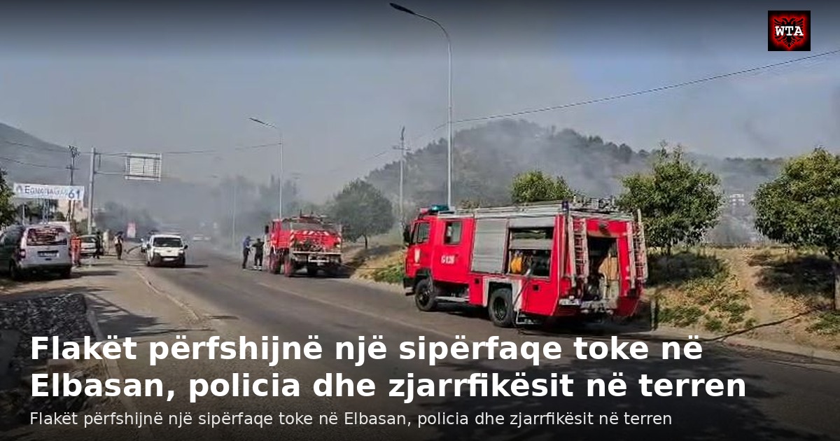 Flakët përfshijnë një sipërfaqe toke në Elbasan, policia dhe zjarrfikësit në terren