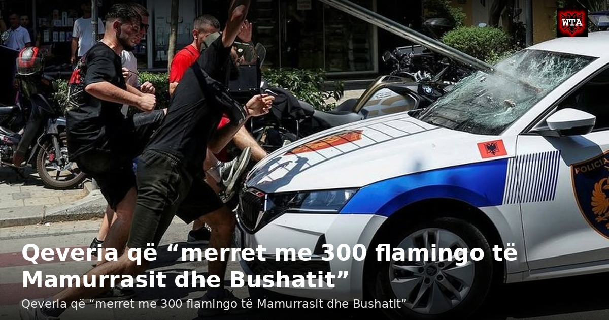Qeveria që “merret me 300 flamingo të Mamurrasit dhe Bushatit”