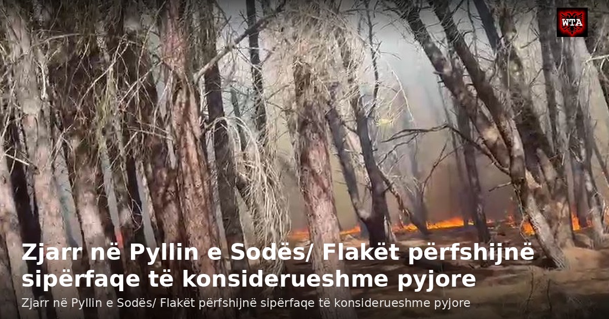Zjarr në Pyllin e Sodës/ Flakët përfshijnë sipërfaqe të konsiderueshme pyjore