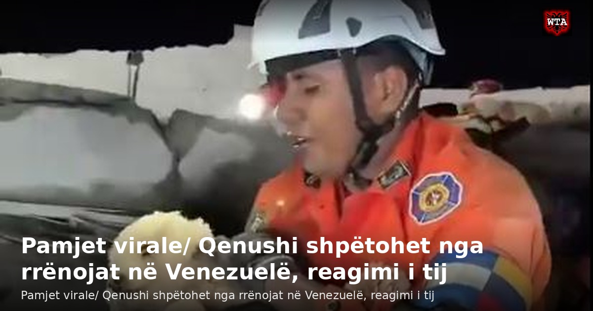 Pamjet virale/ Qenushi shpëtohet nga rrënojat në Venezuelë, reagimi i tij