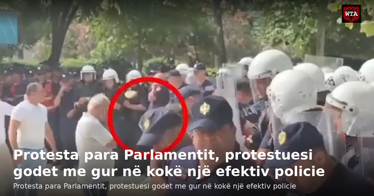 Protesta para Parlamentit, protestuesi godet me gur në kokë një efektiv policie