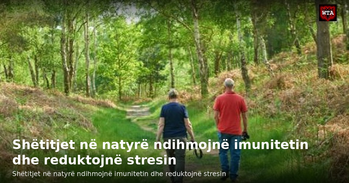 Shëtitjet në natyrë ndihmojnë imunitetin dhe reduktojnë stresin