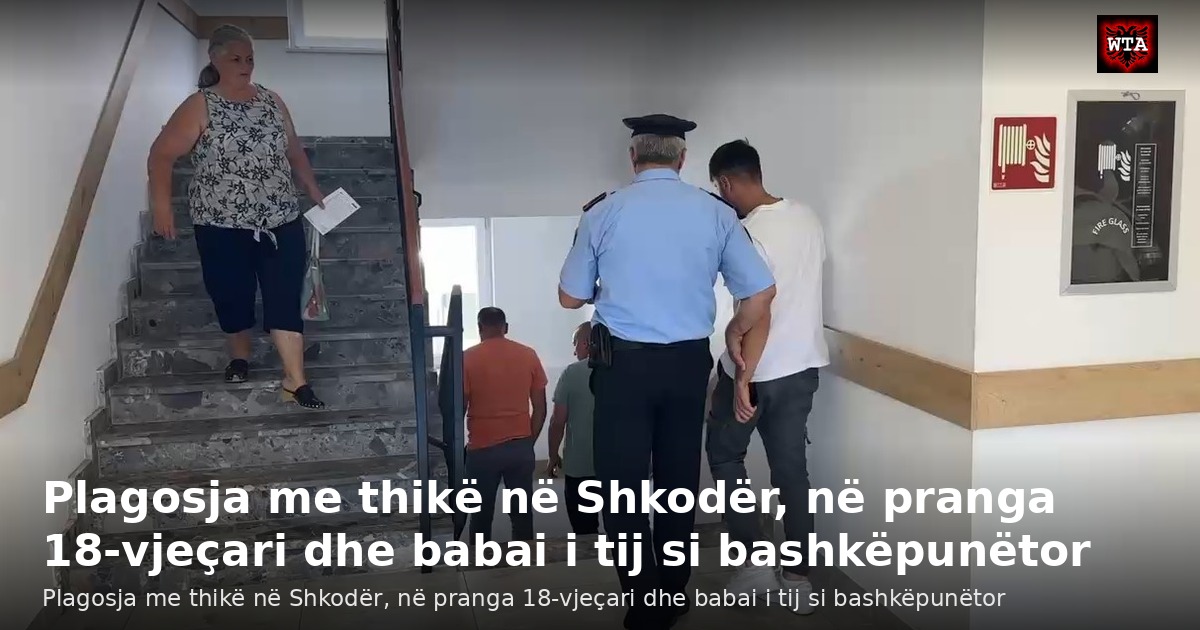 Plagosja me thikë në Shkodër, në pranga 18-vjeçari dhe babai i tij si bashkëpunëtor