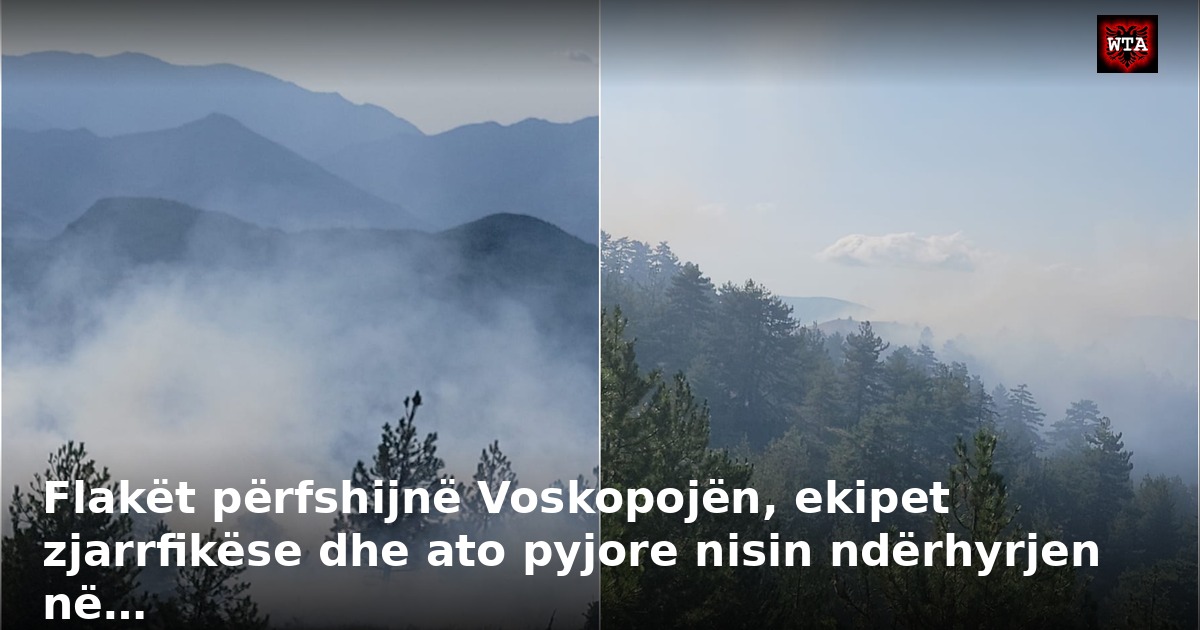 Flakët përfshijnë Voskopojën, ekipet zjarrfikëse dhe ato pyjore nisin ndërhyrjen në…