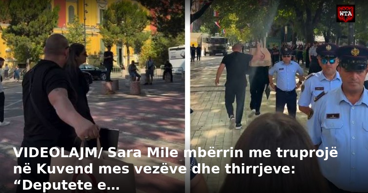 VIDEOLAJM/ Sara Mile mbërrin me truprojë në Kuvend mes vezëve dhe thirrjeve: “Deputete e…
