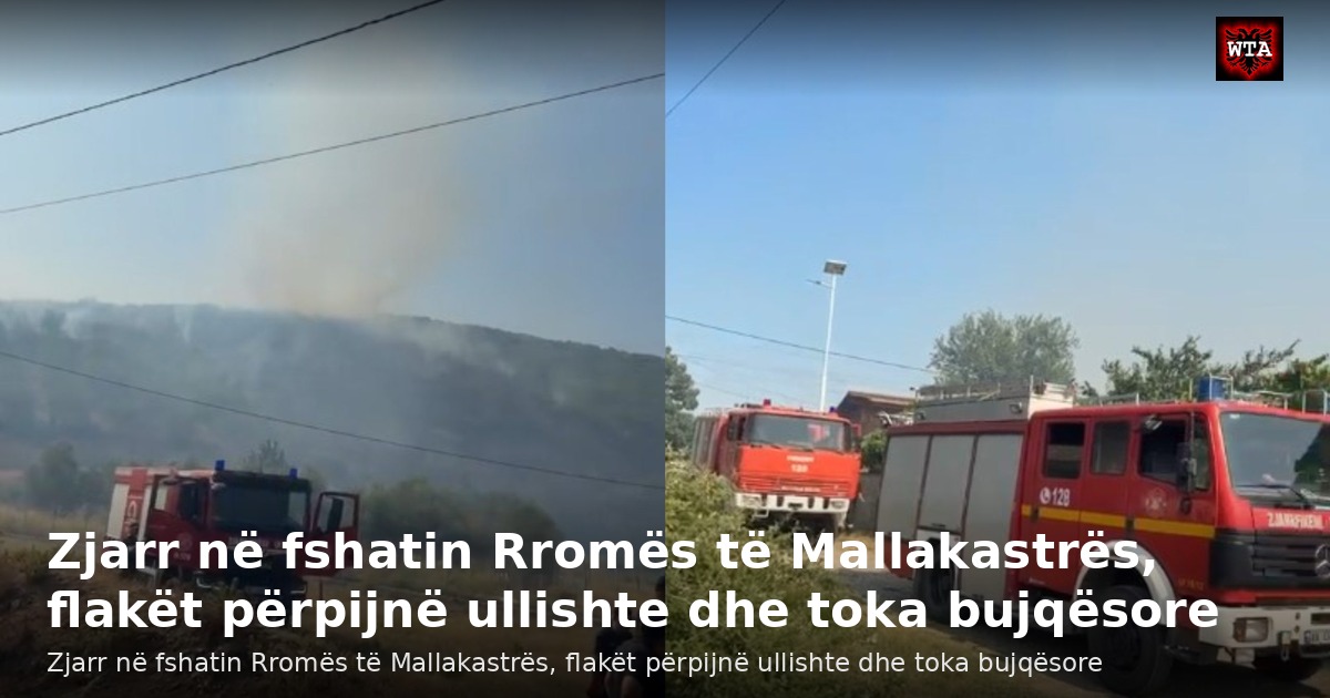 Zjarr në fshatin Rromës të Mallakastrës, flakët përpijnë ullishte dhe toka bujqësore