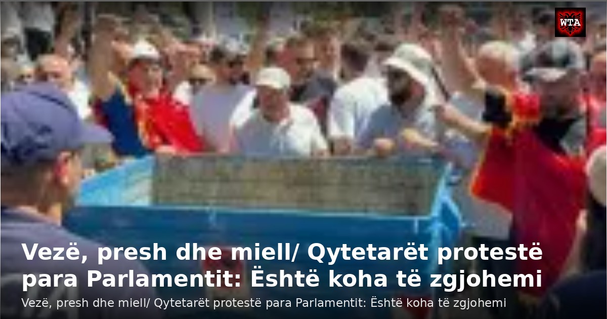 Vezë, presh dhe miell/ Qytetarët protestë para Parlamentit: Është koha të zgjohemi