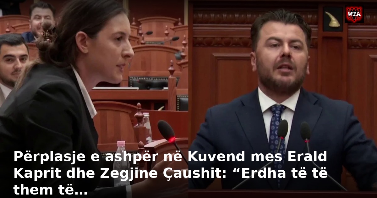 Përplasje e ashpër në Kuvend mes Erald Kaprit dhe Zegjine Çaushit: “Erdha të të them të…