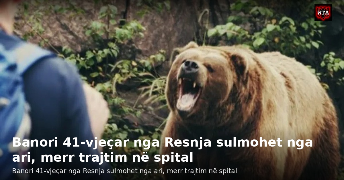 Banori 41-vjeçar nga Resnja sulmohet nga ari, merr trajtim në spital