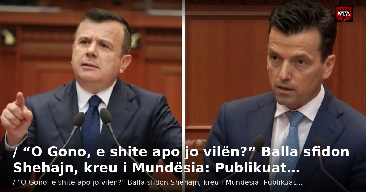 / “O Gono, e shite apo jo vilën?” Balla sfidon Shehajn, kreu i Mundësia: Publikuat…