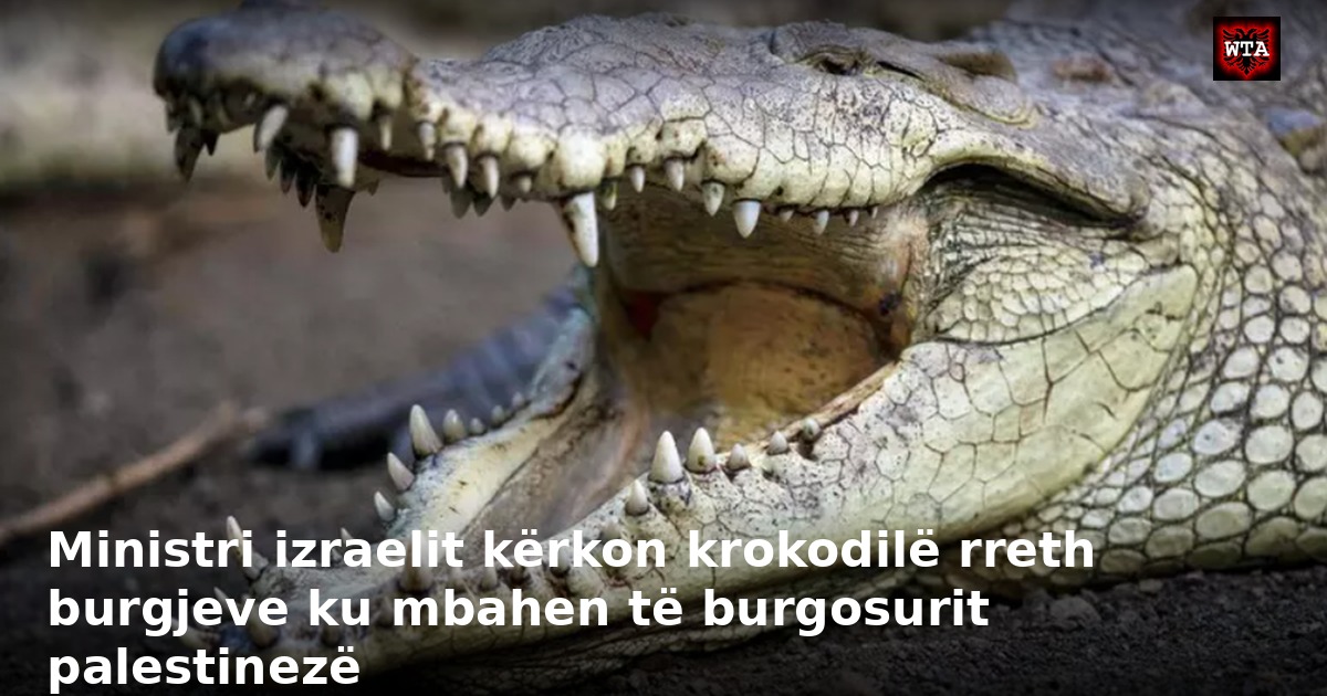 Ministri izraelit kërkon krokodilë rreth burgjeve ku mbahen të burgosurit palestinezë