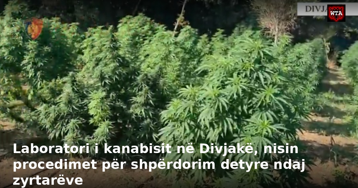 Laboratori i kanabisit në Divjakë, nisin procedimet për shpërdorim detyre ndaj zyrtarëve
