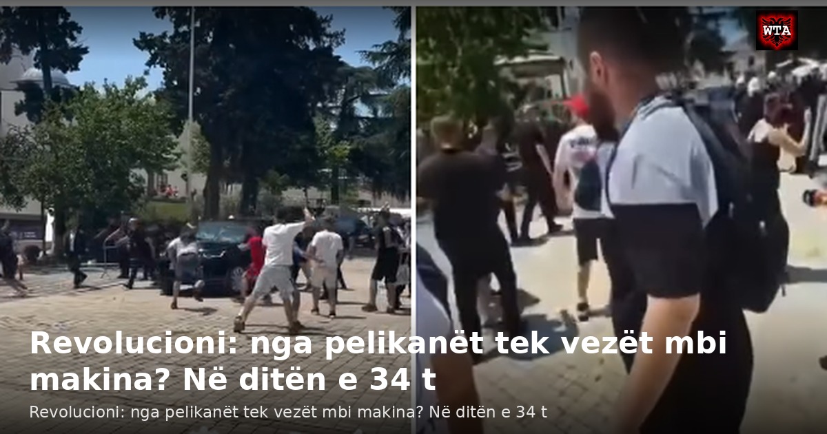 Revolucioni: nga pelikanët tek vezët mbi makina? Në ditën e 34 t