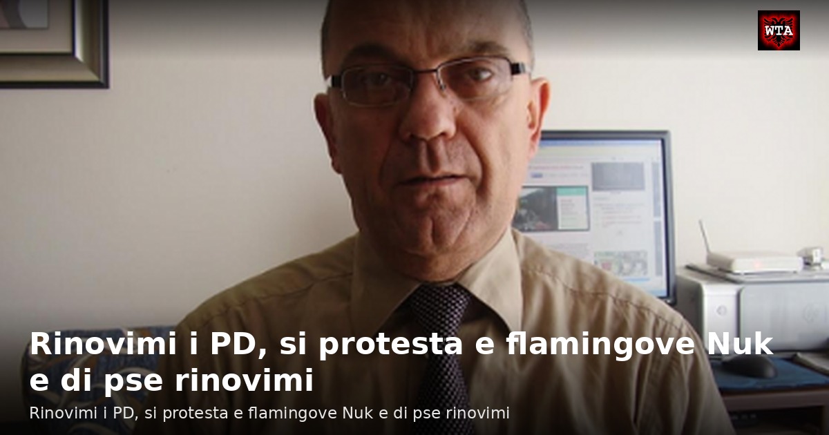 Rinovimi i PD, si protesta e flamingove Nuk e di pse rinovimi