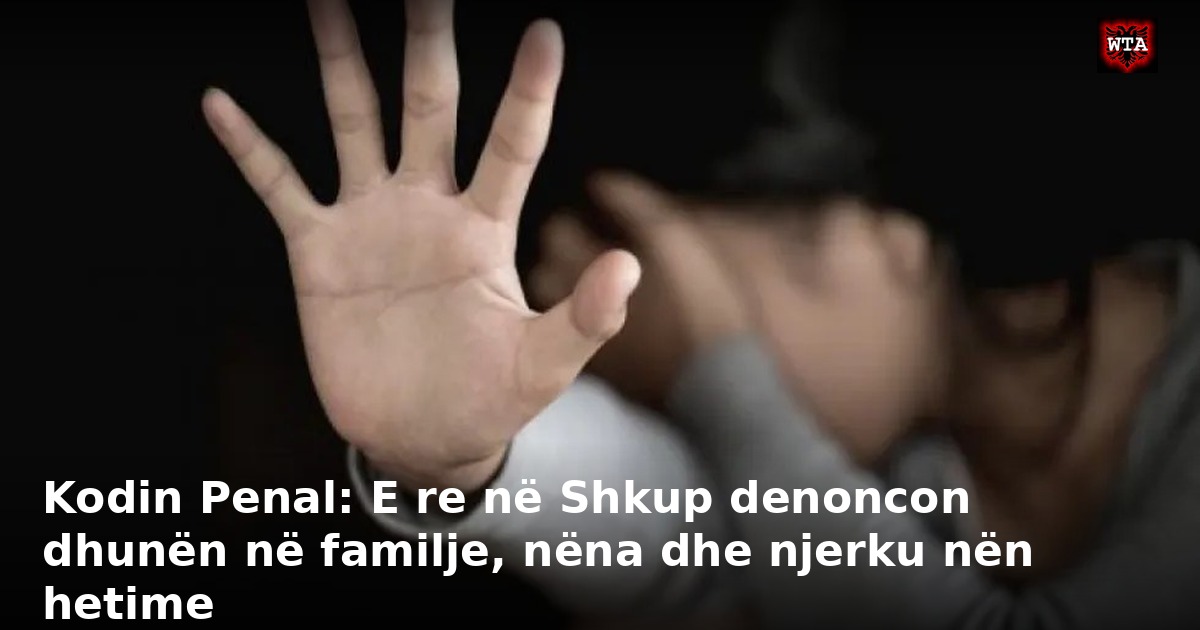 Kodin Penal: E re në Shkup denoncon dhunën në familje, nëna dhe njerku nën hetime