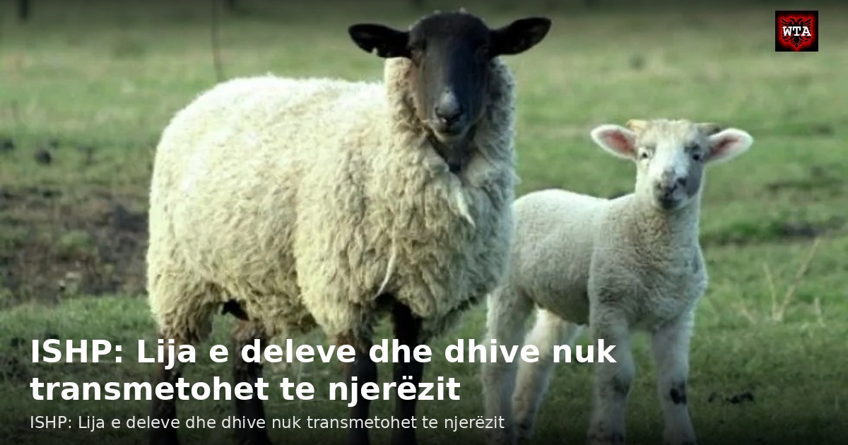 ISHP: Lija e deleve dhe dhive nuk transmetohet te njerëzit