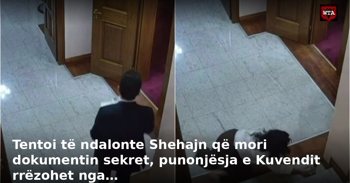 Tentoi të ndalonte Shehajn që mori dokumentin sekret, punonjësja e Kuvendit rrëzohet nga…