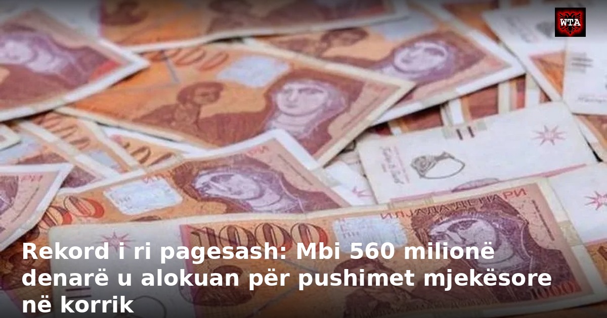 Rekord i ri pagesash: Mbi 560 milionë denarë u alokuan për pushimet mjekësore në korrik