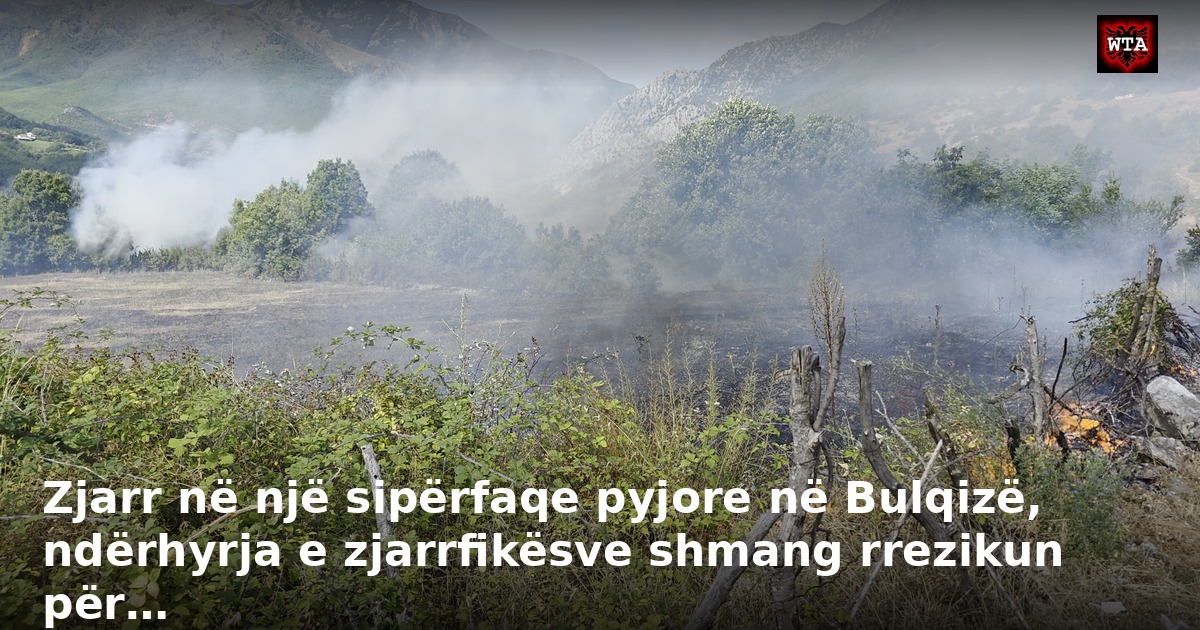 Zjarr në një sipërfaqe pyjore në Bulqizë, ndërhyrja e zjarrfikësve shmang rrezikun për…