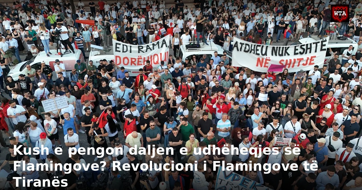 Kush e pengon daljen e udhëheqjes së Flamingove? Revolucioni i Flamingove të Tiranës