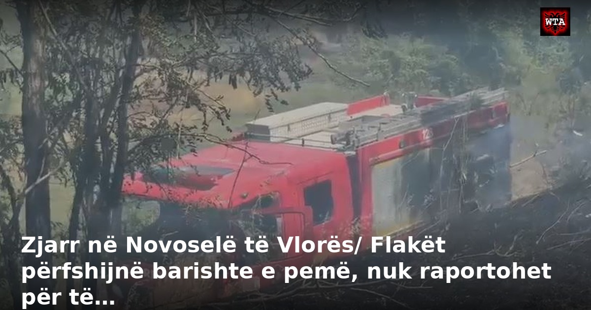 Zjarr në Novoselë të Vlorës/ Flakët përfshijnë barishte e pemë, nuk raportohet për të…
