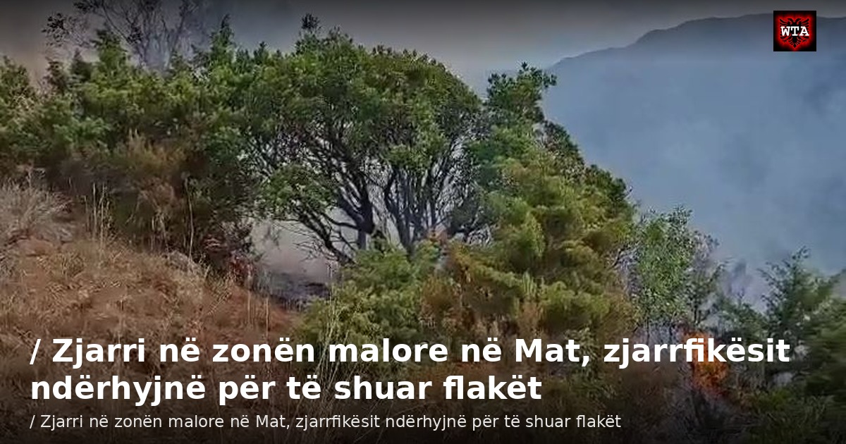 / Zjarri në zonën malore në Mat, zjarrfikësit ndërhyjnë për të shuar flakët