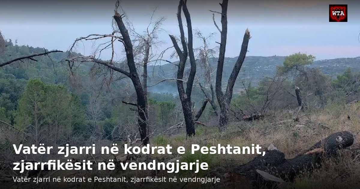 Vatër zjarri në kodrat e Peshtanit, zjarrfikësit në vendngjarje