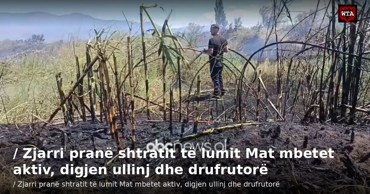 / Zjarri pranë shtratit të lumit Mat mbetet aktiv, digjen ullinj dhe drufrutorë