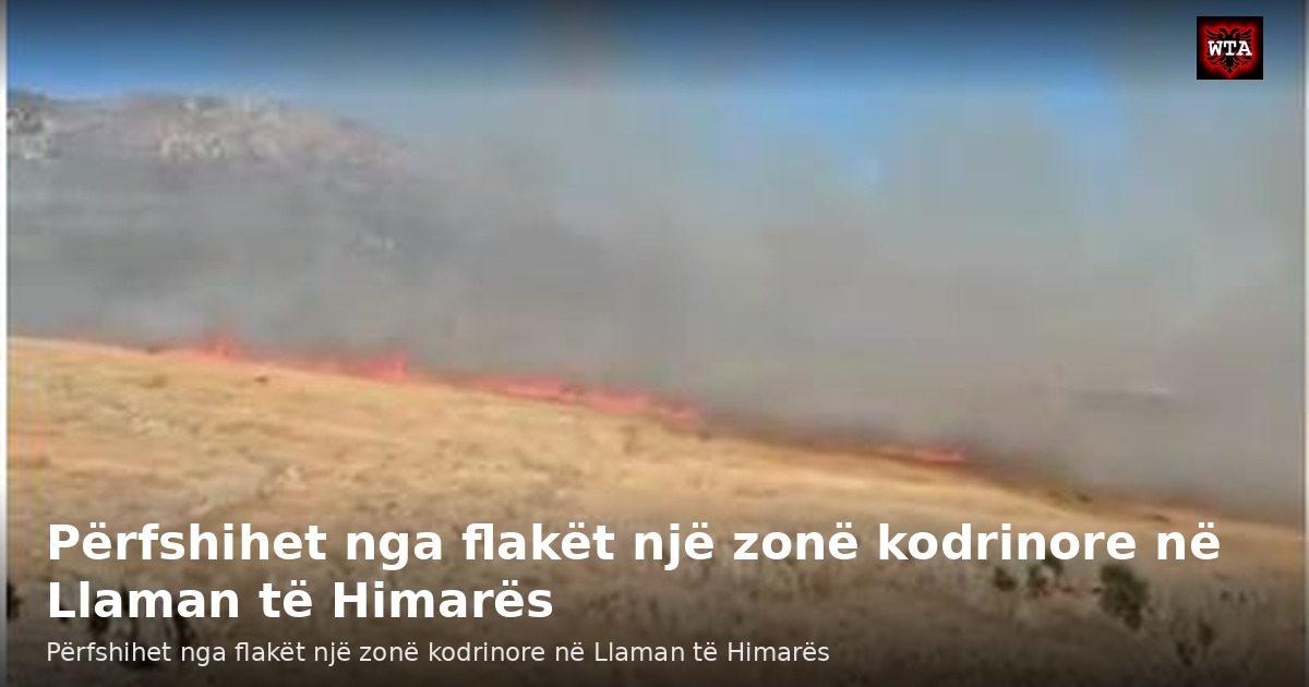 Përfshihet nga flakët një zonë kodrinore në Llaman të Himarës