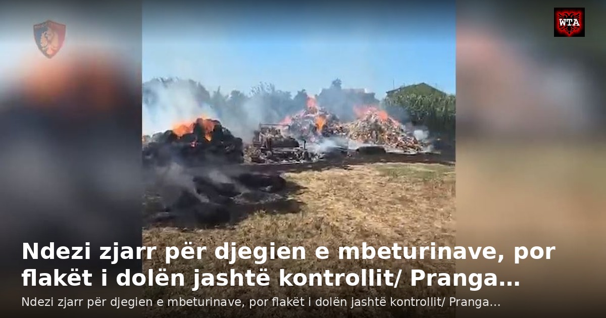Ndezi zjarr për djegien e mbeturinave, por flakët i dolën jashtë kontrollit/ Pranga…