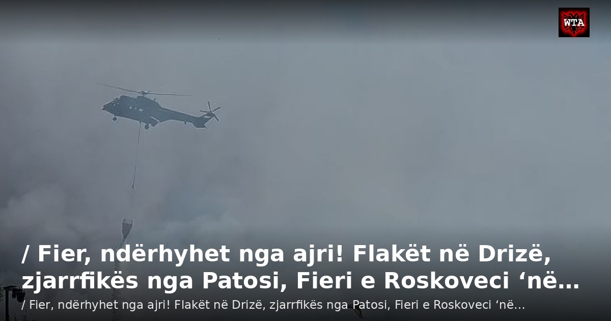 / Fier, ndërhyhet nga ajri! Flakët në Drizë, zjarrfikës nga Patosi, Fieri e Roskoveci ‘në…