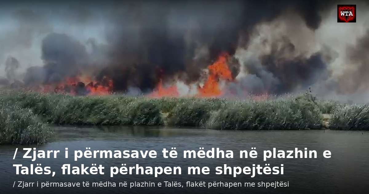 / Zjarr i përmasave të mëdha në plazhin e Talës, flakët përhapen me shpejtësi