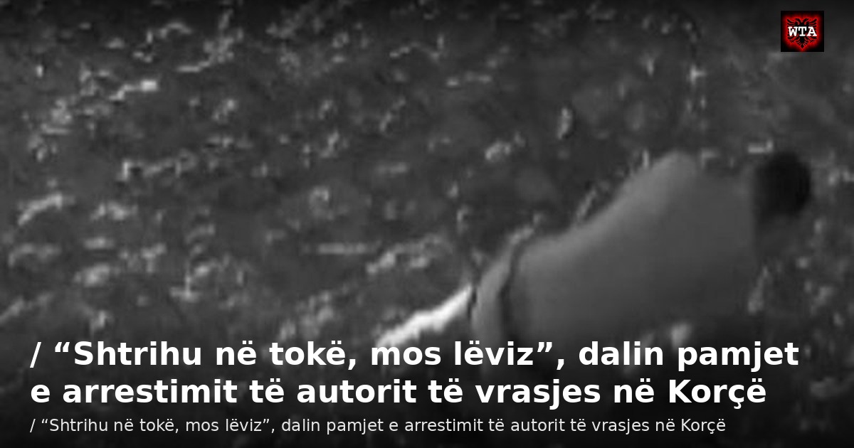 / “Shtrihu në tokë, mos lëviz”, dalin pamjet e arrestimit të autorit të vrasjes në Korçë