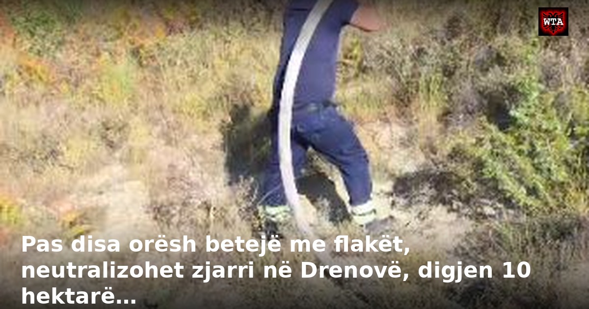 Pas disa orësh betejë me flakët, neutralizohet zjarri në Drenovë, digjen 10 hektarë…