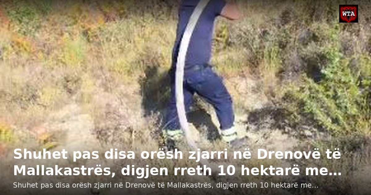 Shuhet pas disa orësh zjarri në Drenovë të Mallakastrës, digjen rreth 10 hektarë me…