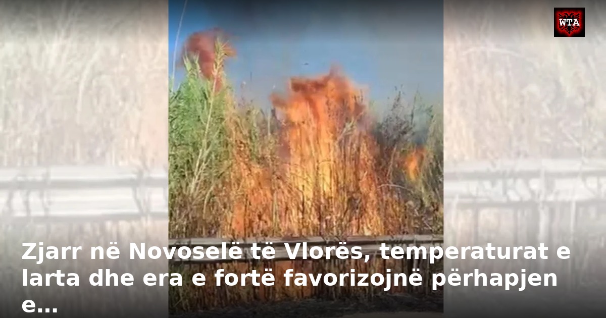 Zjarr në Novoselë të Vlorës, temperaturat e larta dhe era e fortë favorizojnë përhapjen e…