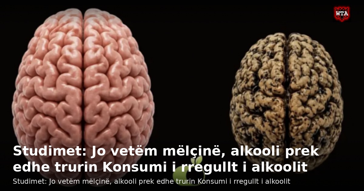 Studimet: Jo vetëm mëlçinë, alkooli prek edhe trurin Konsumi i rregullt i alkoolit