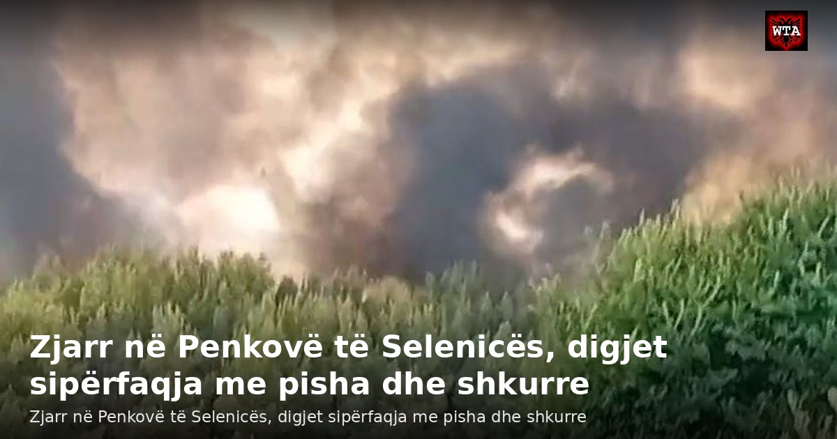Zjarr në Penkovë të Selenicës, digjet sipërfaqja me pisha dhe shkurre