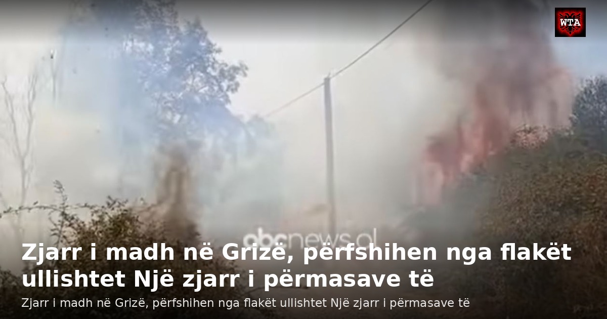 Zjarr i madh në Grizë, përfshihen nga flakët ullishtet Një zjarr i përmasave të
